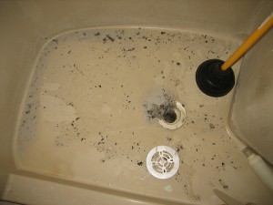 Colorado Springs, CO Clogged Drains